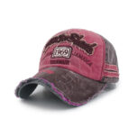 new york cap yankees 3